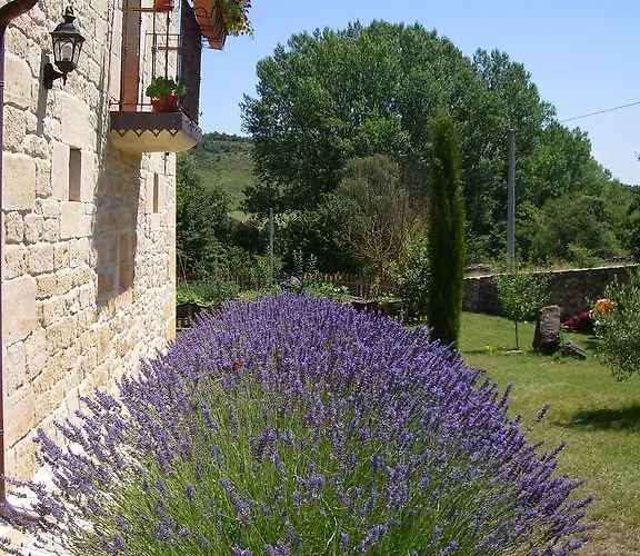 컨트리하우스 La Ondina Salazar